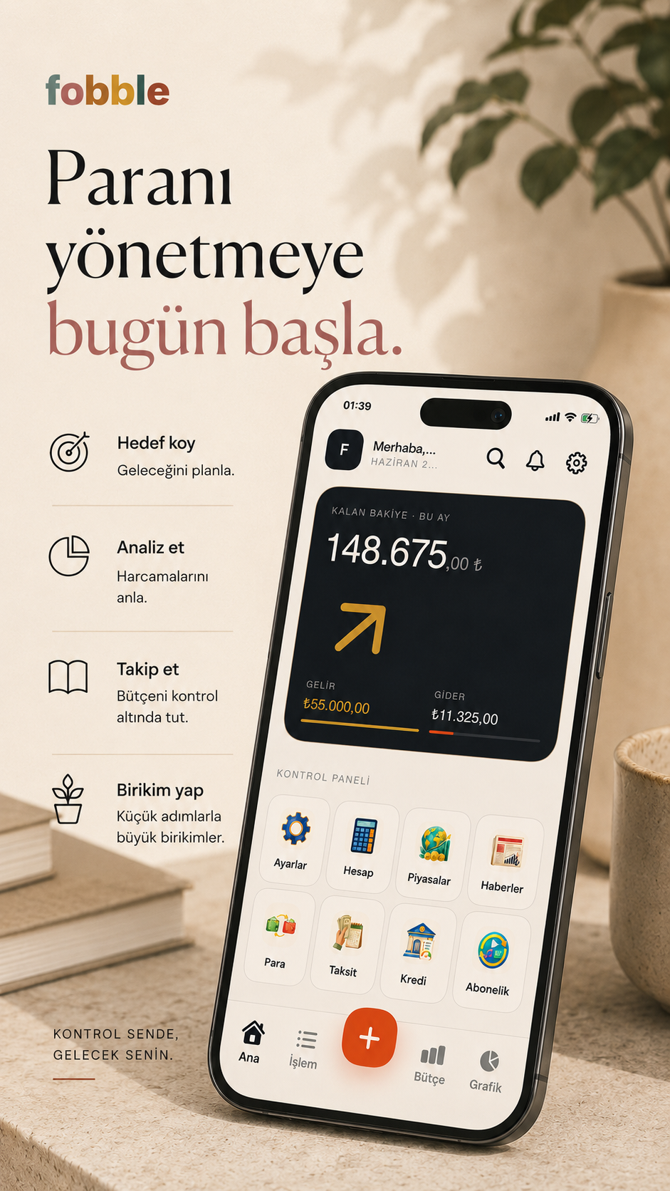 Bütçe Asistanı gelir gider ekranı